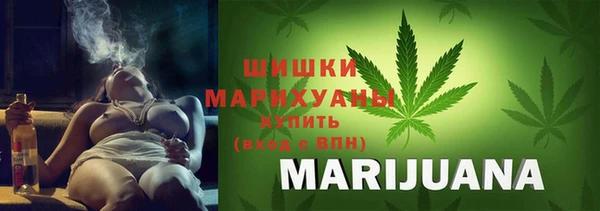 apvp Горнозаводск