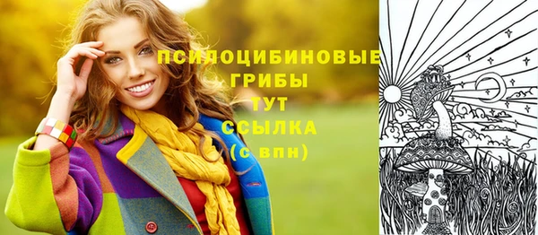 apvp Горнозаводск