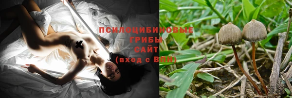 apvp Горнозаводск
