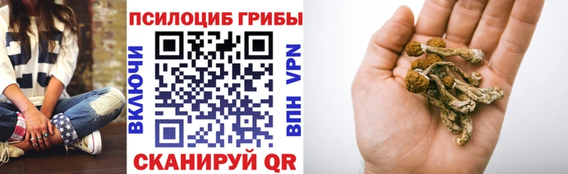 где купить наркоту  Первомайск  Псилоцибиновые грибы MAGIC MUSHROOMS 